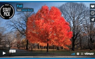 Autumn Time-Lapse Of New York’s Central Park