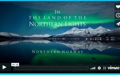Magical Northern Lights