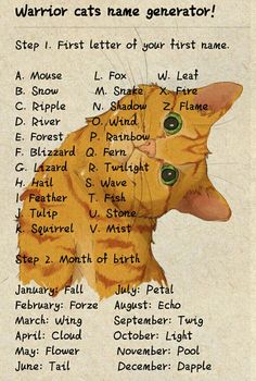 Funny Cat Name Generator Enchanted Little World