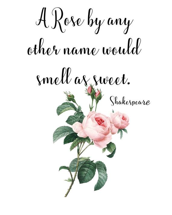 rose-quote