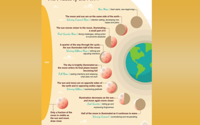 Lunar Moon Phases Illustrated