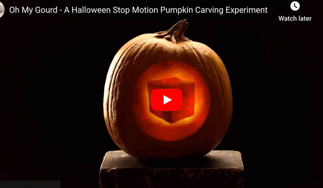 Oh My Gourd: A Stop-Motion Pumpkin Masterpiece 🎃✨