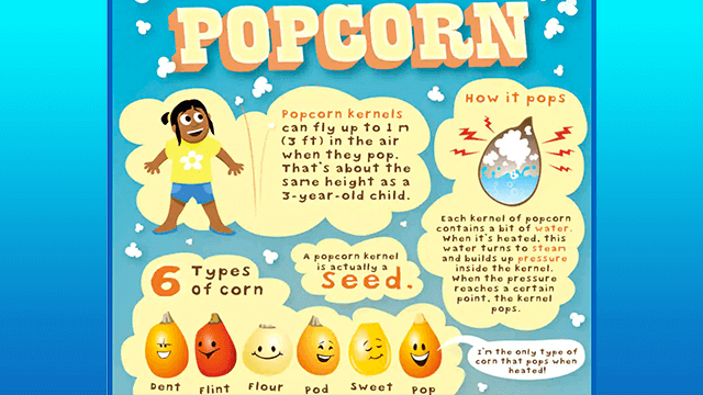 The World Of Popcorn