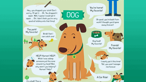 If Pets Could Talk