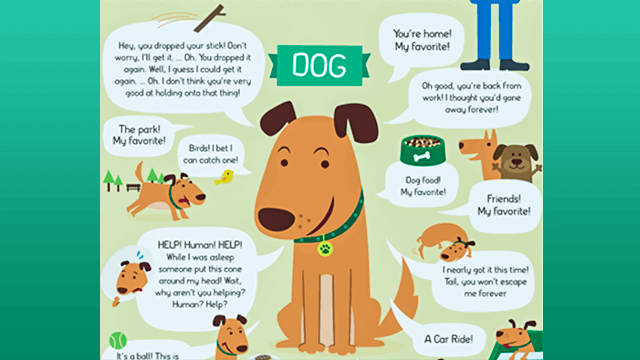 If Pets Could Talk
