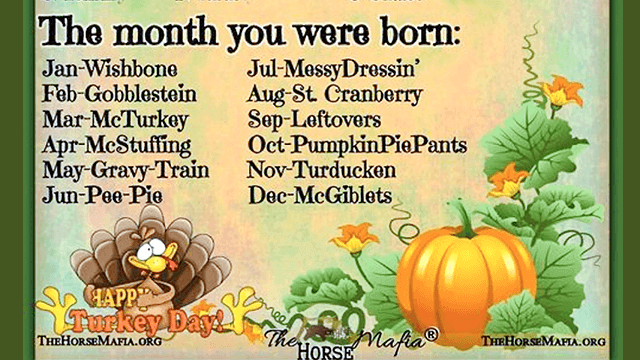 Thanksgiving Name Generator ๐ฆ