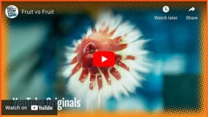 Real Life Fruit Ninja