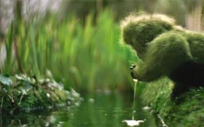 The Garden Ape
