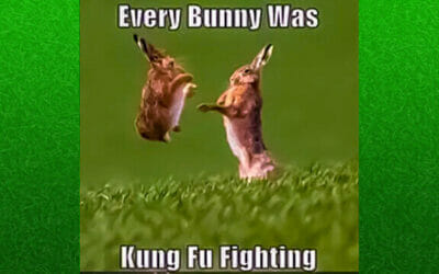 Collection Of Funny Spring Memes