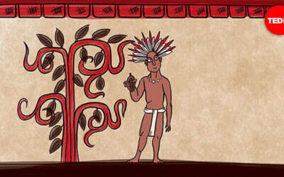 The Origins Of Chocolate