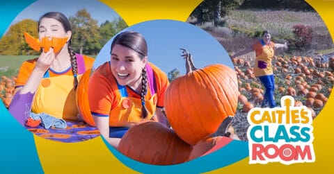 Visit A Pumpkin Patch 🎃