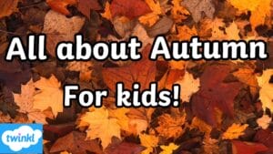 All About Autumn for Kids