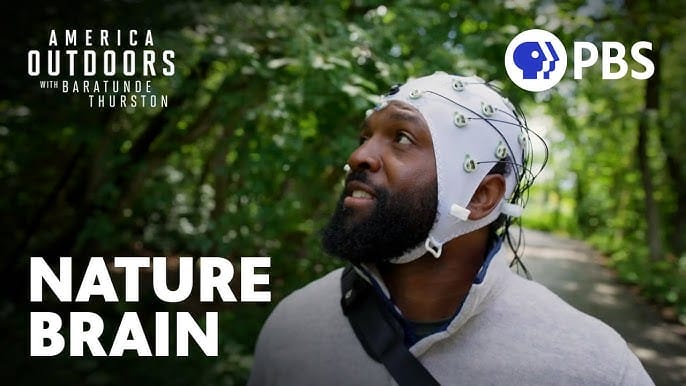 How Nature Affects Your Brain 🌳