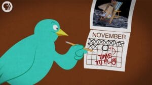 Where Do Birds Go In The Winter?