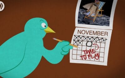 Where Do Birds Go In The Winter?