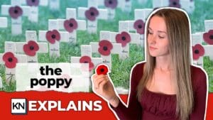 Why Do People Wear A Poppy?