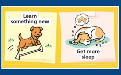 New Year’s Advice From A Dog