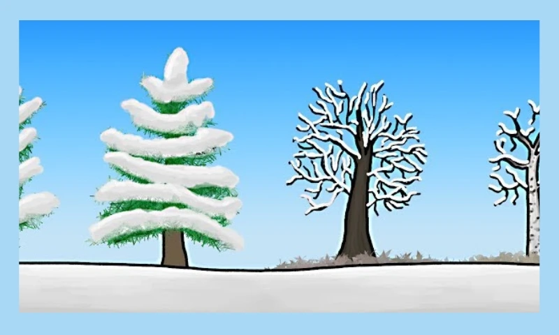 How Do Trees Survive The Winter?