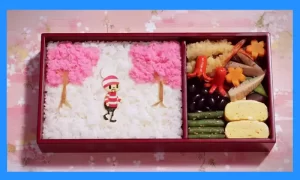 Stop-Motion About Seasons