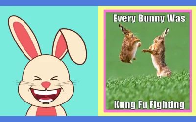 Funny Bunny Memes Collection