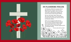 Free Printable In Flanders Fields Poem