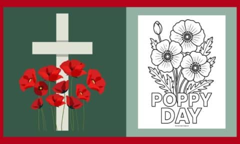 Free Printable Poppy Day Colouring #6