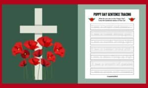 Free Printable Poppy Day Worksheet