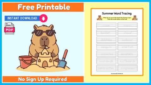 Free Summer Word Tracing Worksheet