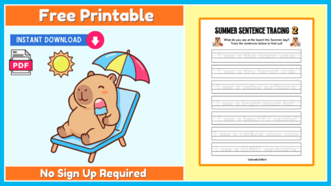 Free Summer Sentence Tracing 2