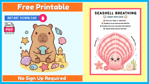 Free Seashell Breathing Exercise