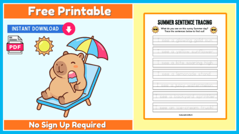 Free Summer Sentence Tracing