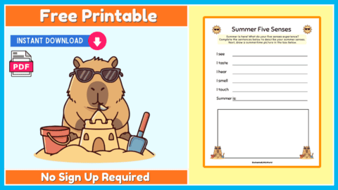 Free Summer Senses Worksheet For Kids