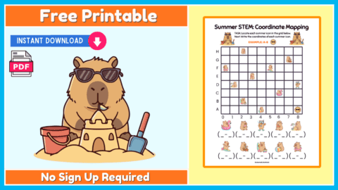 Free Summer Grid Mapping Worksheet