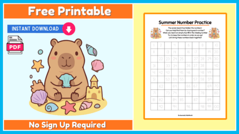 Free Summer Number Practice Worksheet