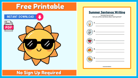 Free Summer Sentence Worksheet
