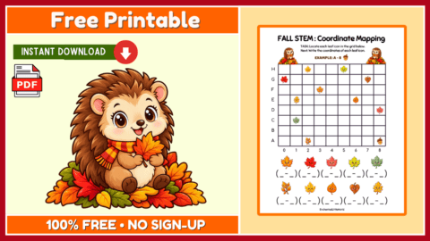 Free Fall Coordinate Mapping